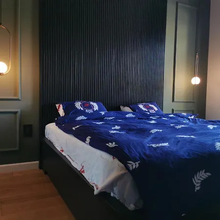 Cazare Electric Castle 2021 Apartament Luxurious 2 Camere 65Mp